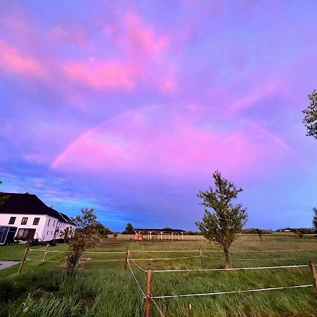 Peskuv Mlyn - Apartman Appartement Borovany  Buitenkant foto