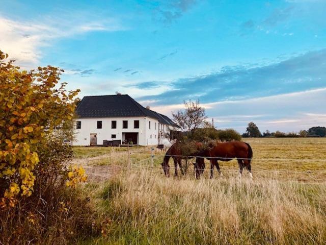 Peskuv Mlyn - Apartman Appartement Borovany  Buitenkant foto