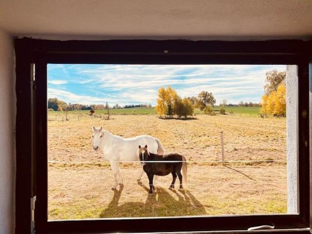 Peskuv Mlyn - Apartman Appartement Borovany  Buitenkant foto